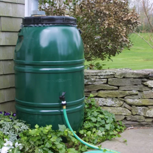 60 Gallon Rain Barrel